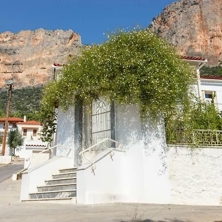 Traditional House