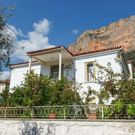 Traditional House