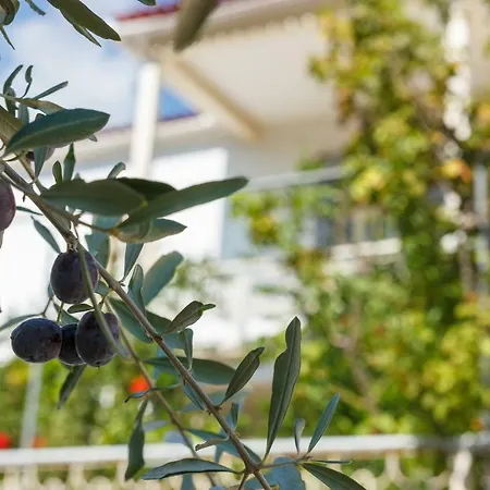 Traditional House Διαμέρισμα *