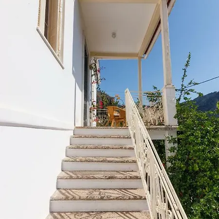 Traditional House